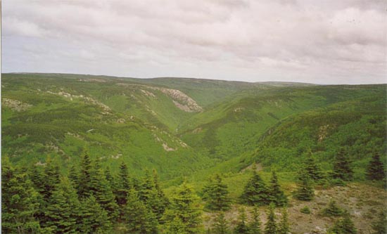 cape_breton4.jpg