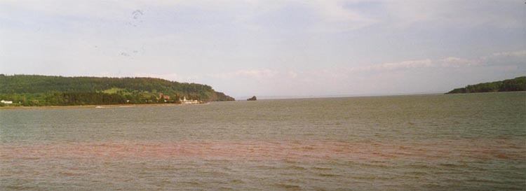 five_islands3.jpg