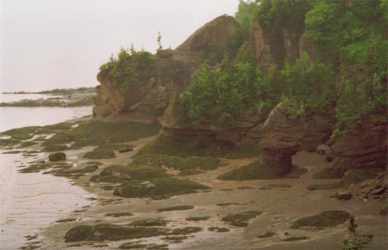 hopewell_rocks1.jpg