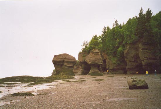 hopewell_rocks2.jpg