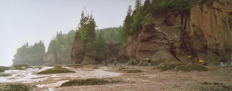 hopewell_rocks7.jpg