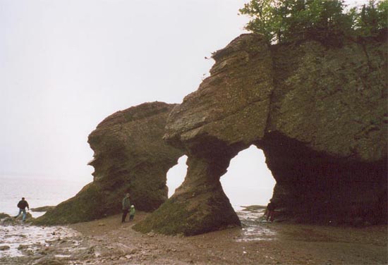 hopewell_rocks9.jpg