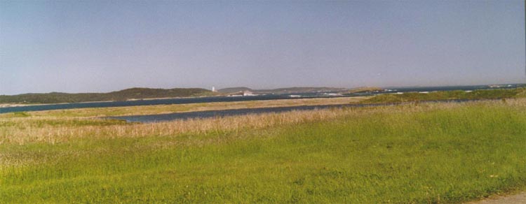 louisbourg23.jpg
