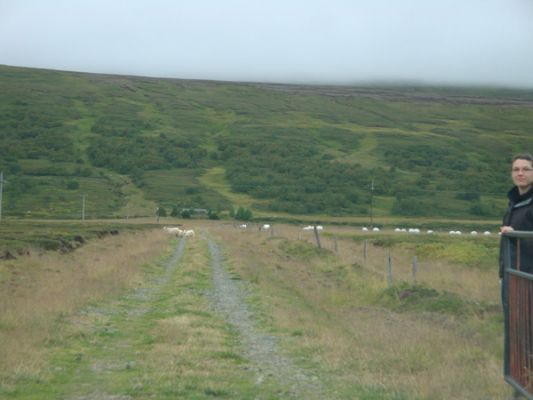 270809i.jpg