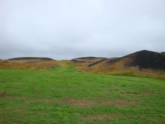 300809a.jpg