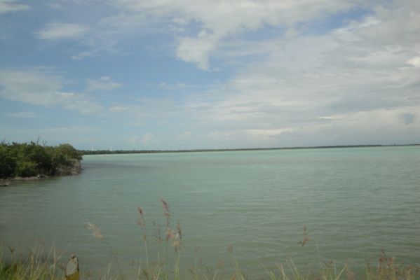 DSC05189.jpg