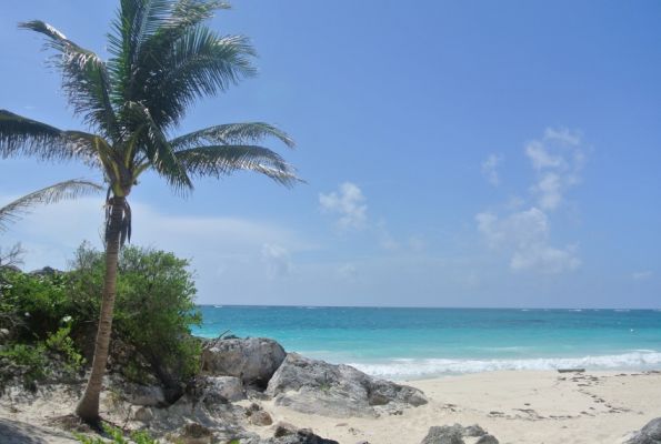 DSC_2657.jpg