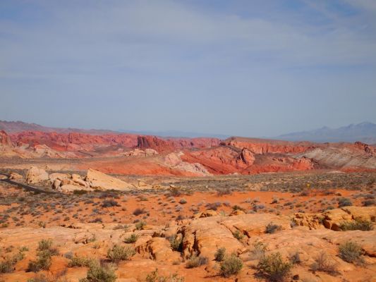 P2188504.jpg