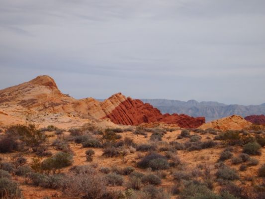 P2188580.jpg