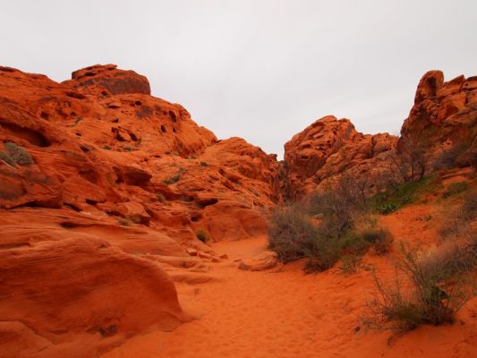 P2198617.jpg