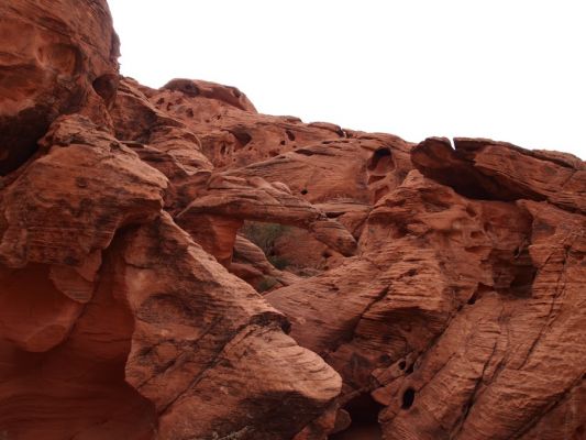 P2198630.jpg