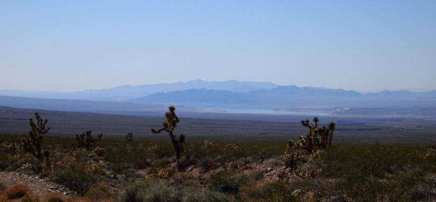 P2198645.jpg