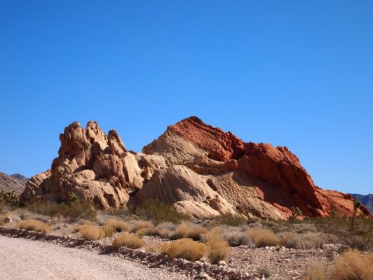 P2198663.jpg