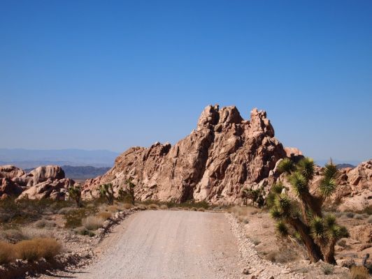 P2198666.jpg