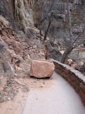 P2210171.jpg