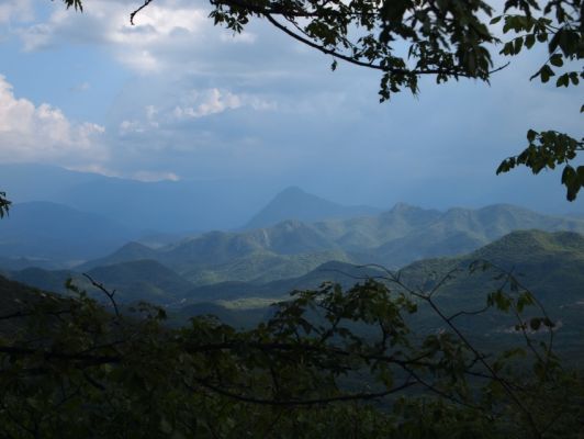 P7096249.jpg