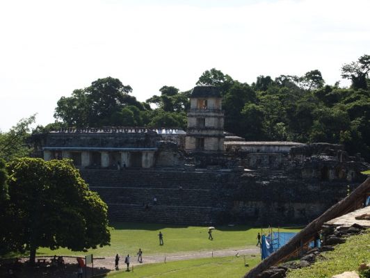 P7126517.jpg