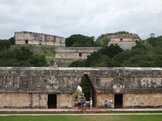 P7136790.jpg