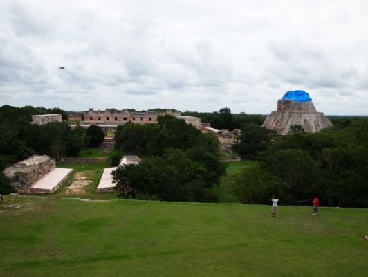 P7136851.jpg