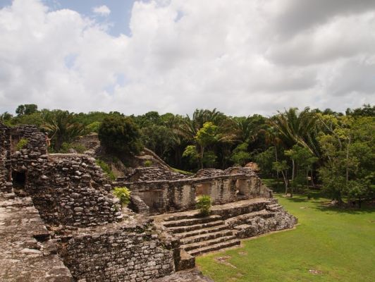 P7217697.jpg