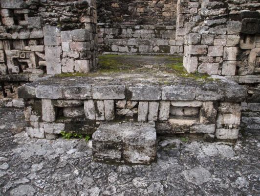 P7227798.jpg