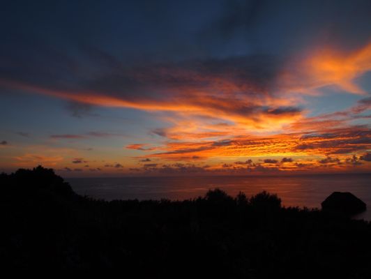 P8114265.jpg