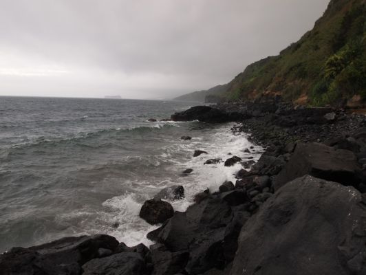 P8134486.jpg