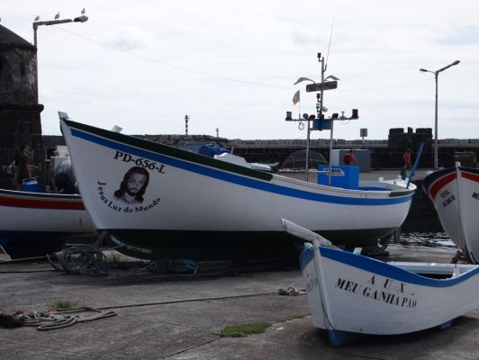 P8144547.jpg