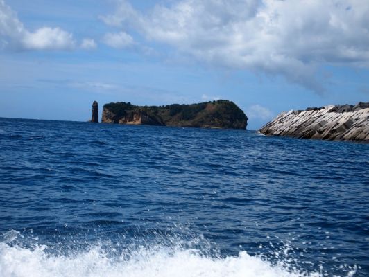 P8144553.jpg