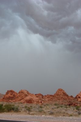 USA_0210_4_11.jpg