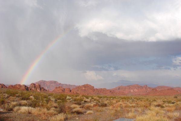 USA_0210_4_26.jpg