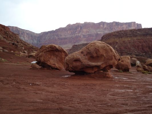 USA_0210_5_12.jpg
