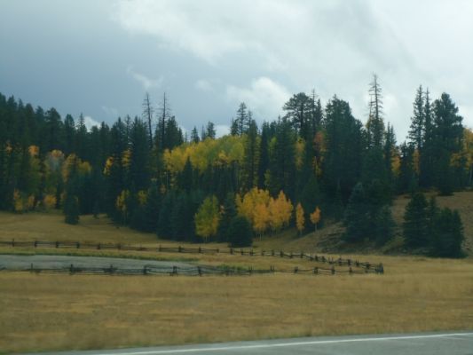 USA_0210_5_4.jpg