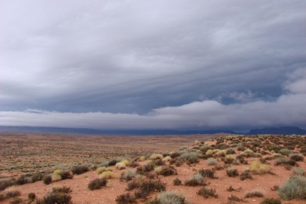 USA_0210_6_6.jpg