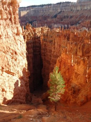 USA_0210_7_23.jpg
