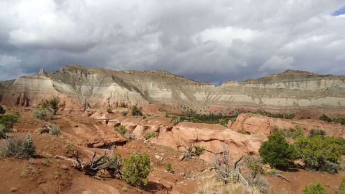 USA_0210_7_8.jpg