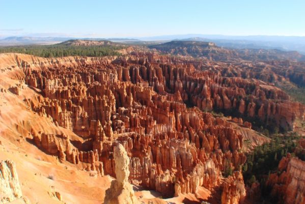 USA_0210_8_2.jpg