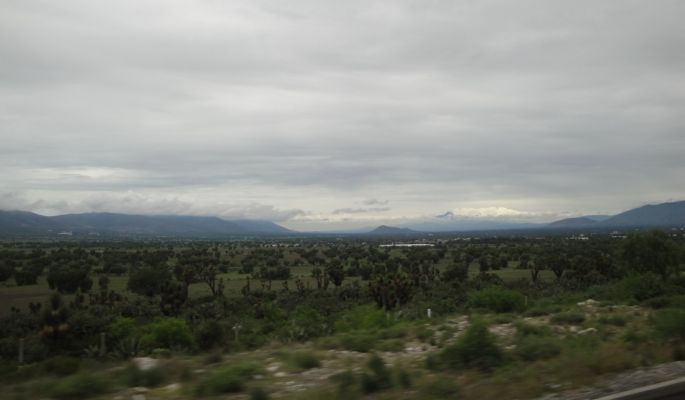 Z01.jpg