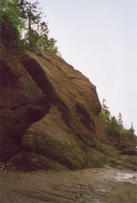 hopewell_rocks4.jpg