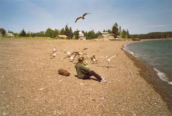 parrsboro1.jpg