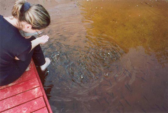 shubenacadie5.jpg