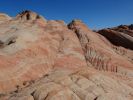 DSC01310.jpg