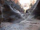 DSC01354.jpg