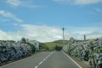 DSC03794.jpg
