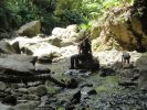 DSC04082.jpg