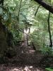 DSC04085.jpg