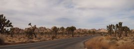 Pano_JT_002.jpg
