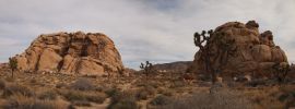 Pano_JT_003.jpg
