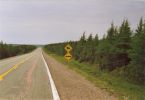 cape_breton22.jpg