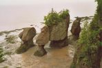 hopewell_rocks5.jpg